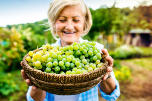 Fruits, Vegetables Are Essential for Eye Health